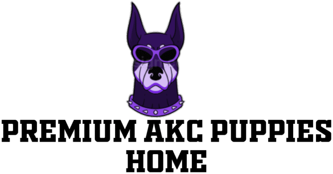 premiumakcpupshome.store